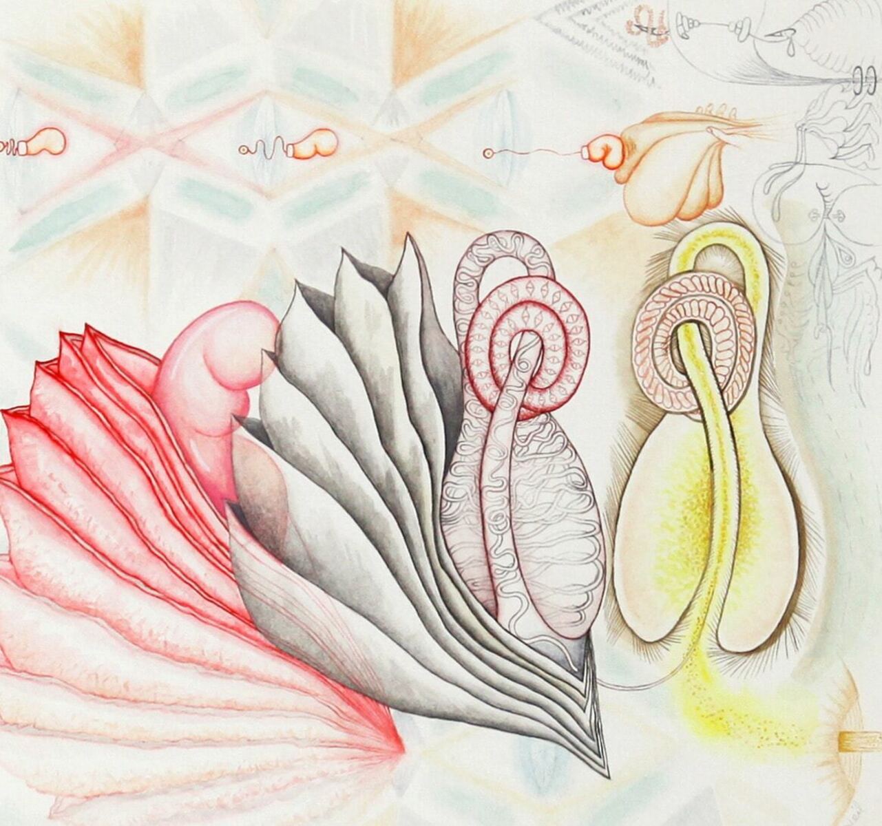 Molt