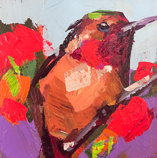 Anna's Hummingbird #2