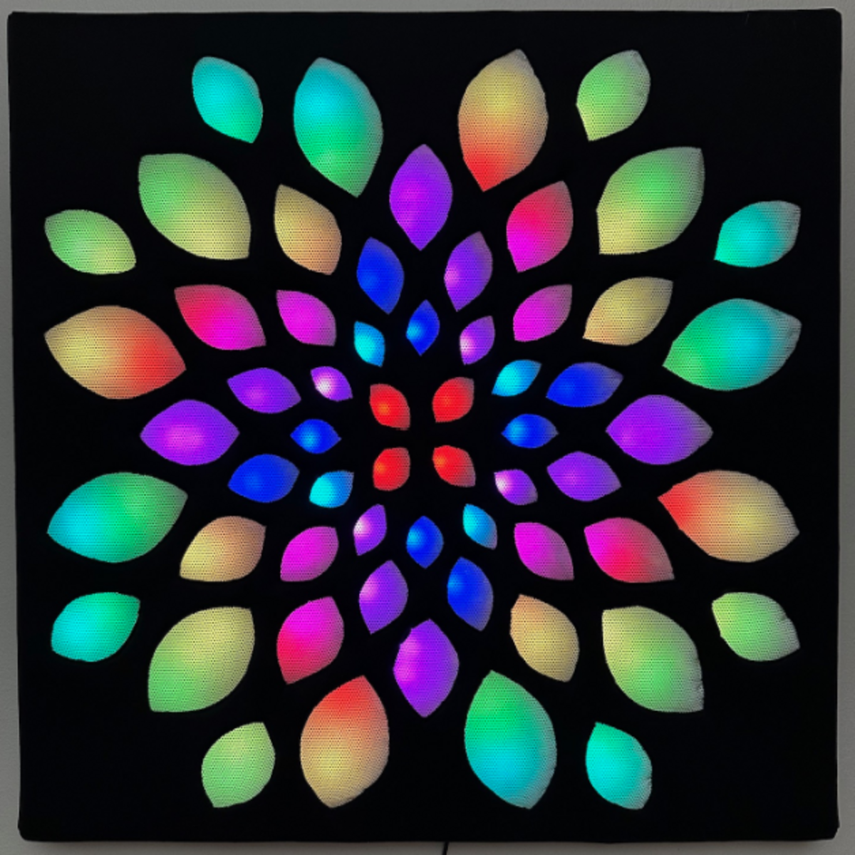 Enlighted Lotus