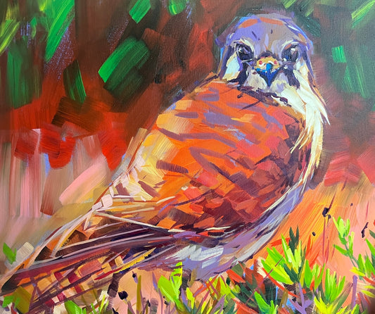 Kestrel