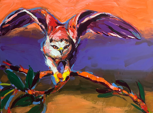 Lift Off-White Tailed Kite