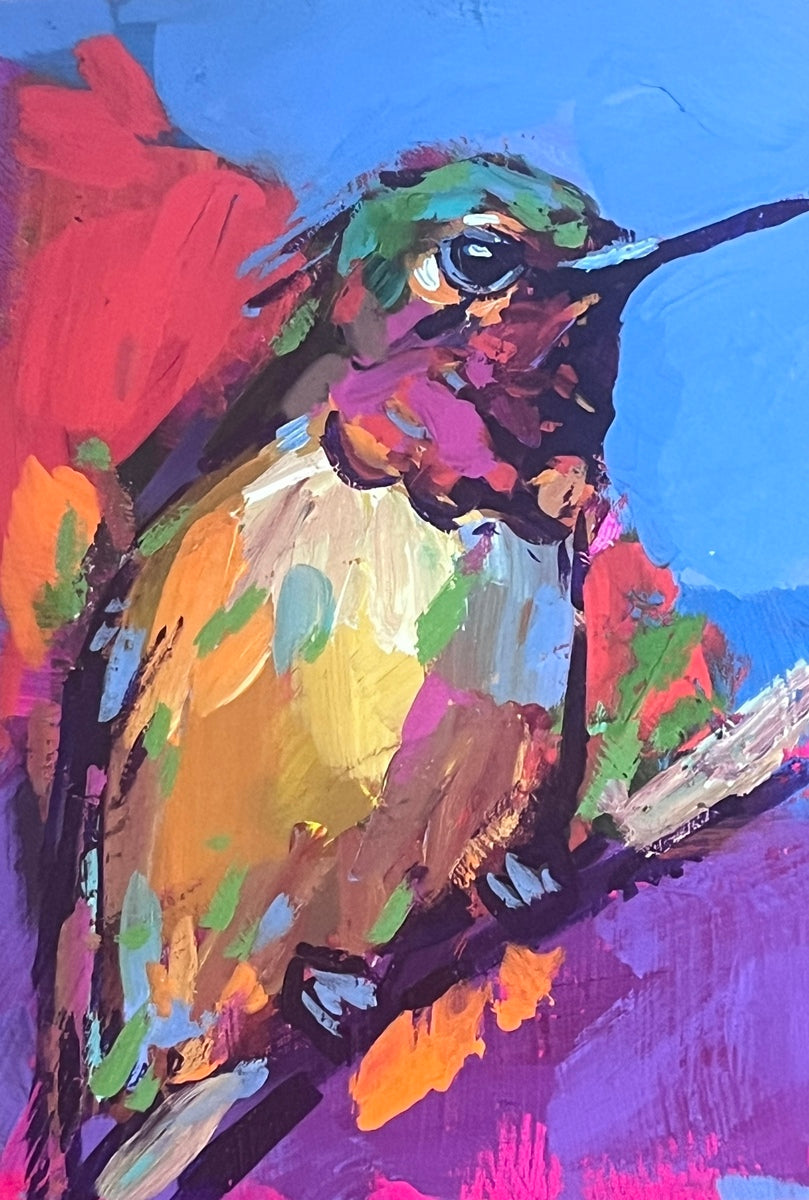 Anna's Hummingbird 1
