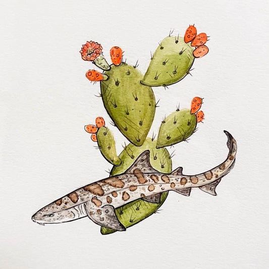 Prickly Pear Swims