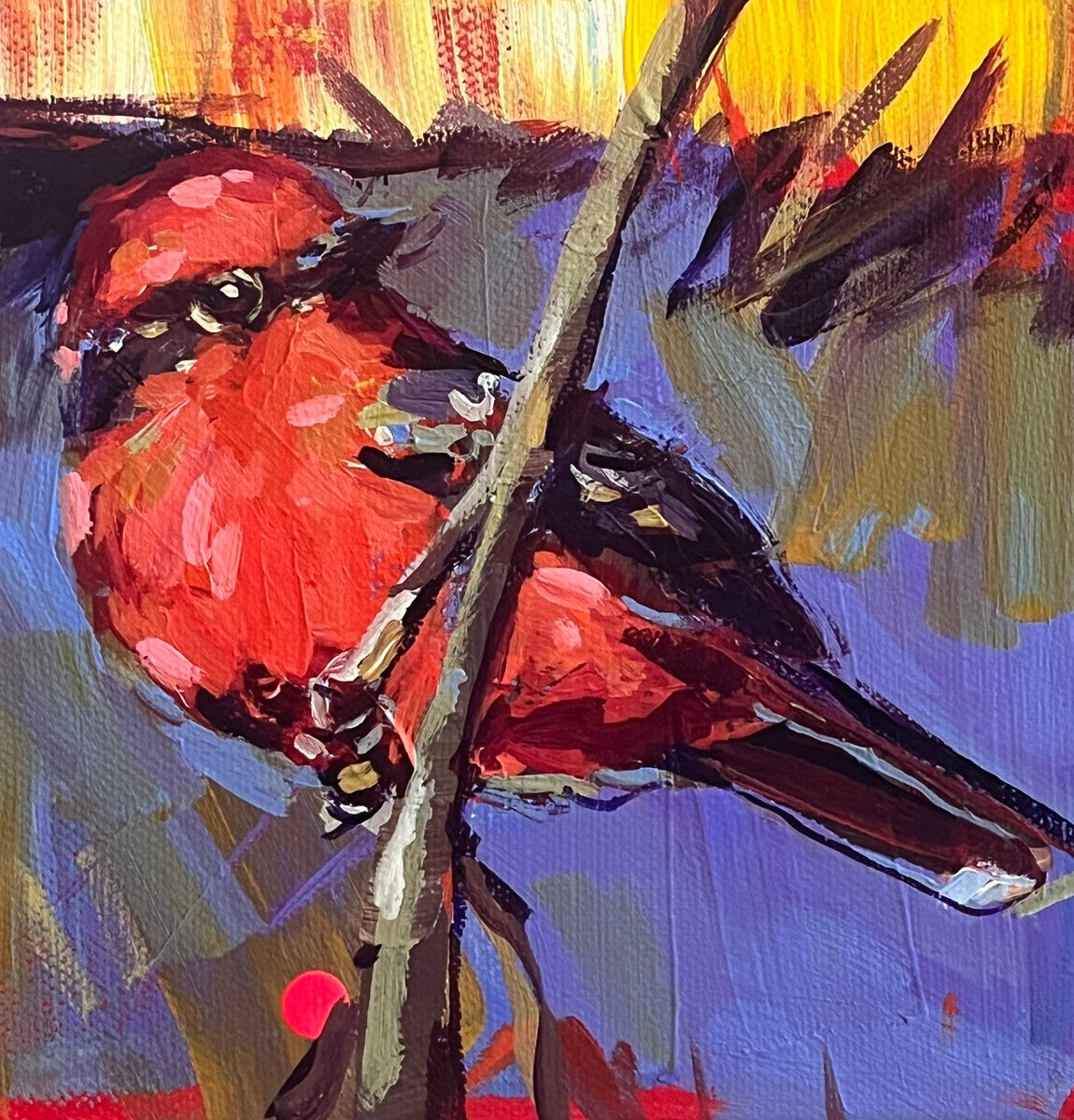 Flycatcher
