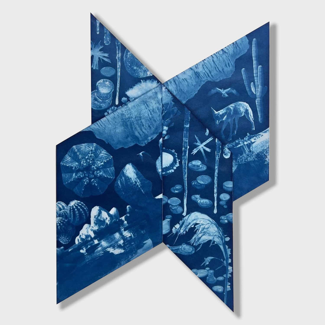 Annalise Neil Solo Feature