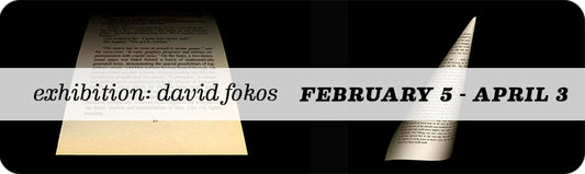 David Fokos Solo Show - The Book Pages Project