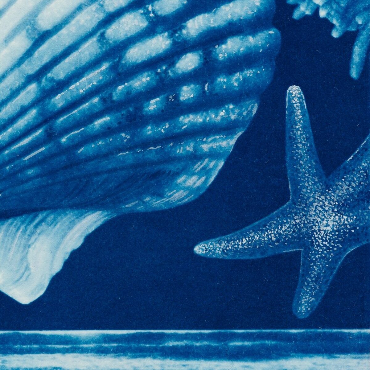 Saltwater Gradient, var 7