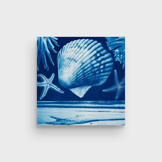 Saltwater Gradient, var 7