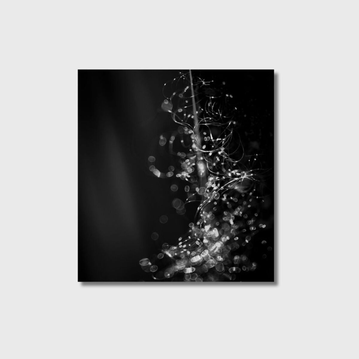 phy(/o)tonic symphony