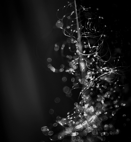 phy(/o)tonic symphony