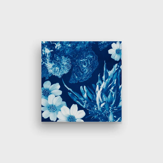 Saltwater Gradient, var 9