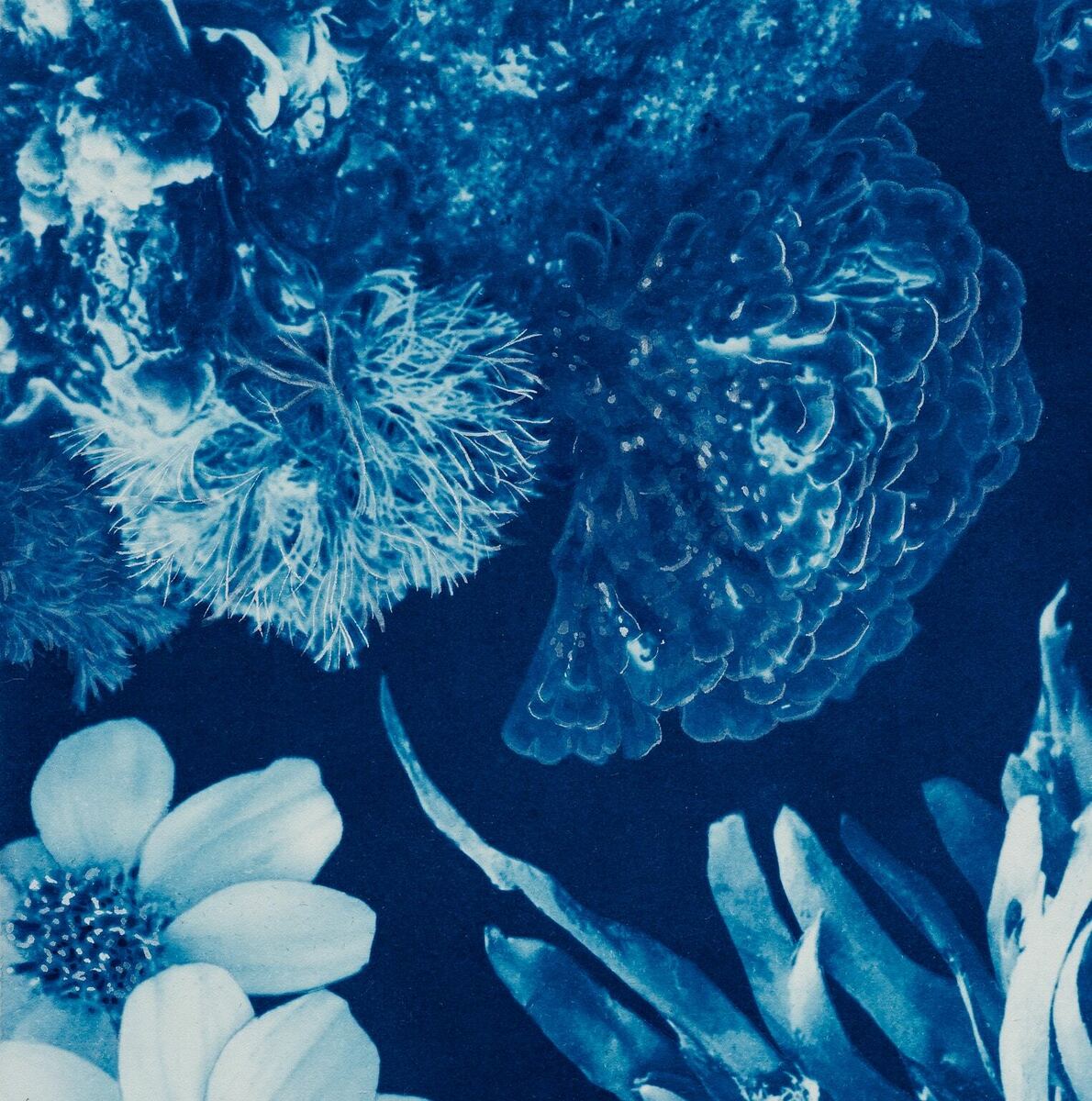Saltwater Gradient, var 9