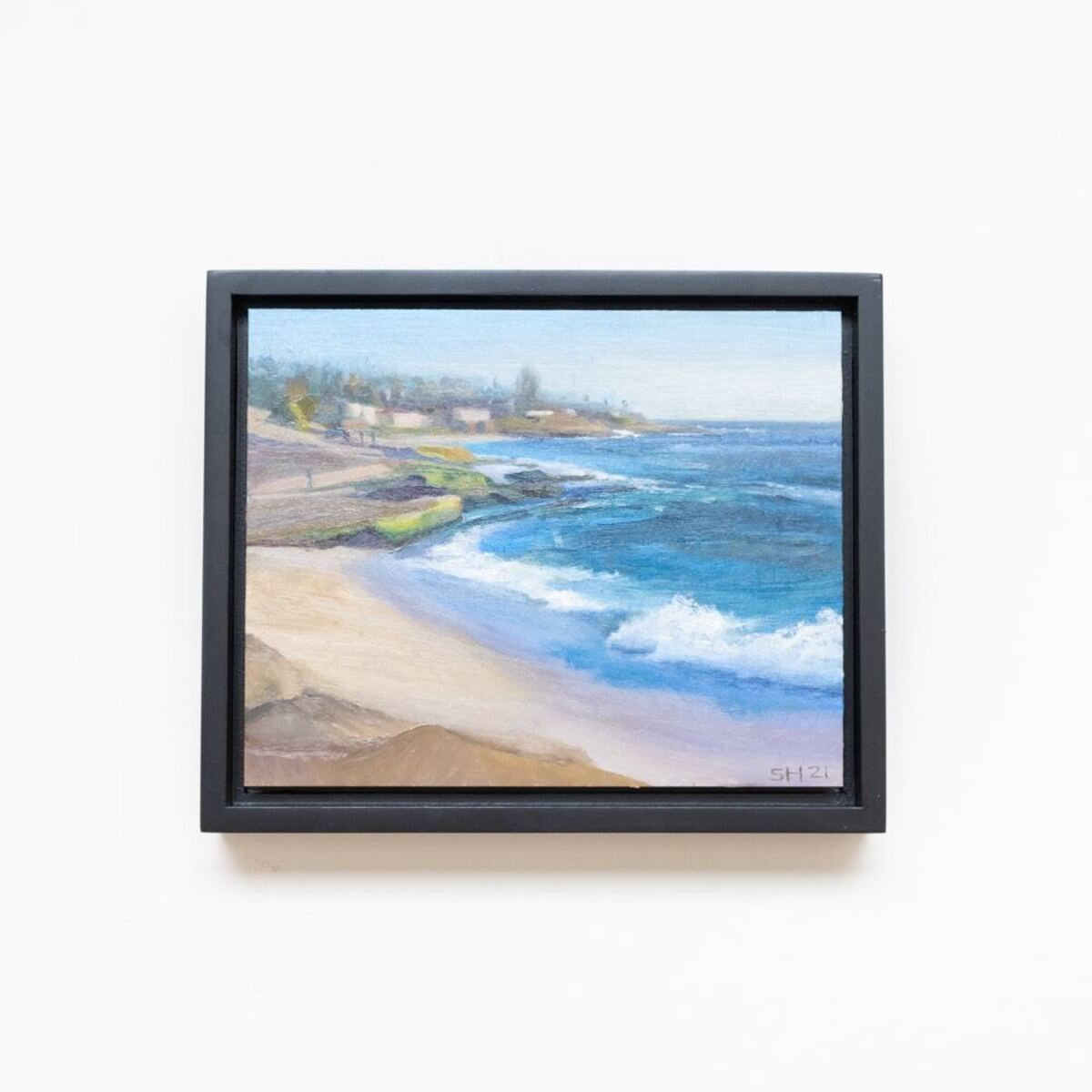 Windansea Waves