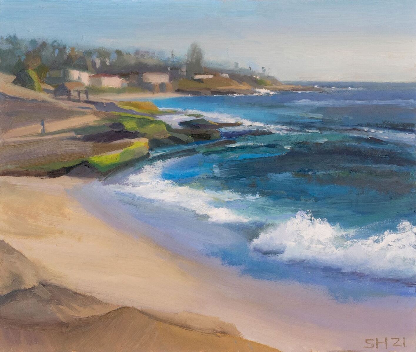 Windansea Waves