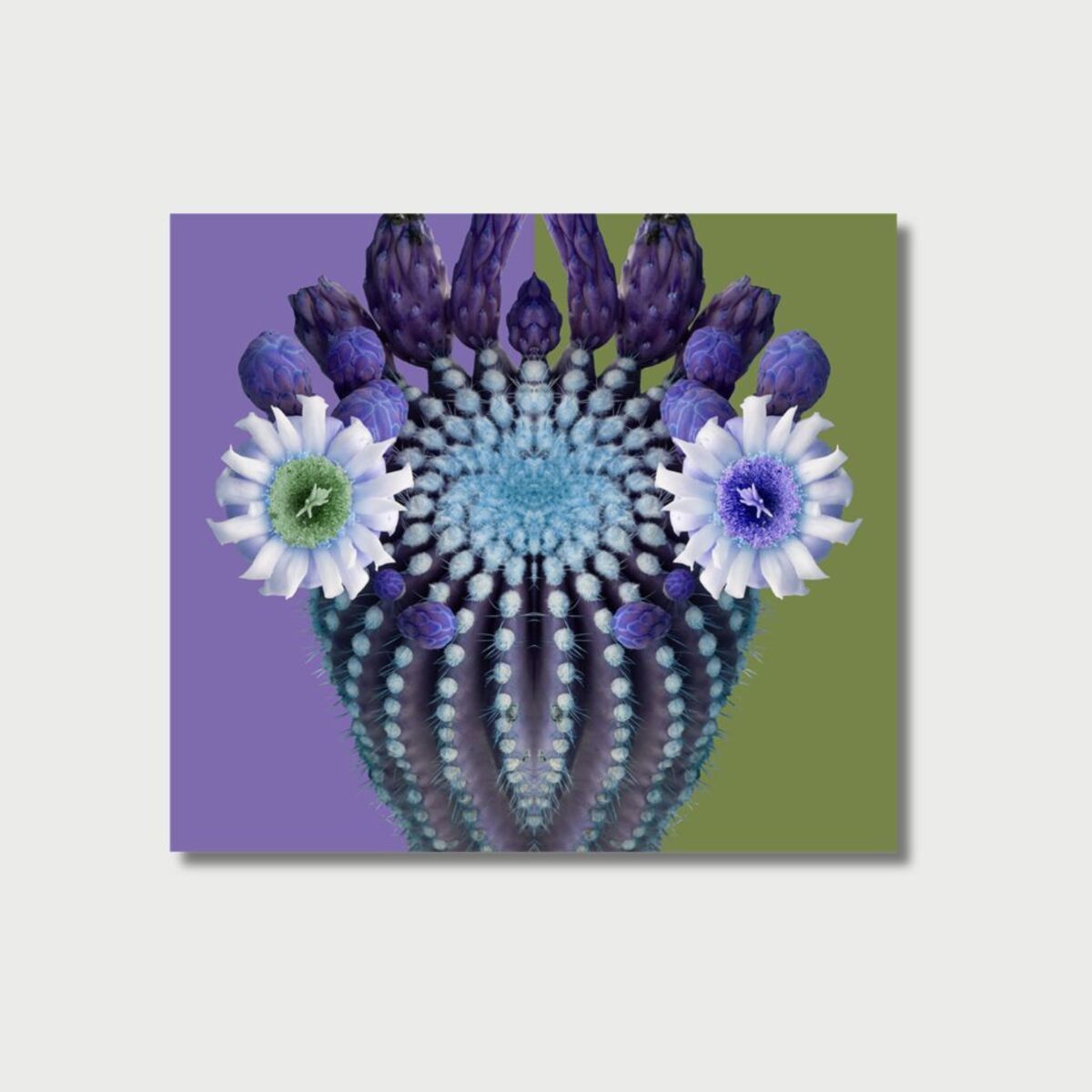 Blooming Pop