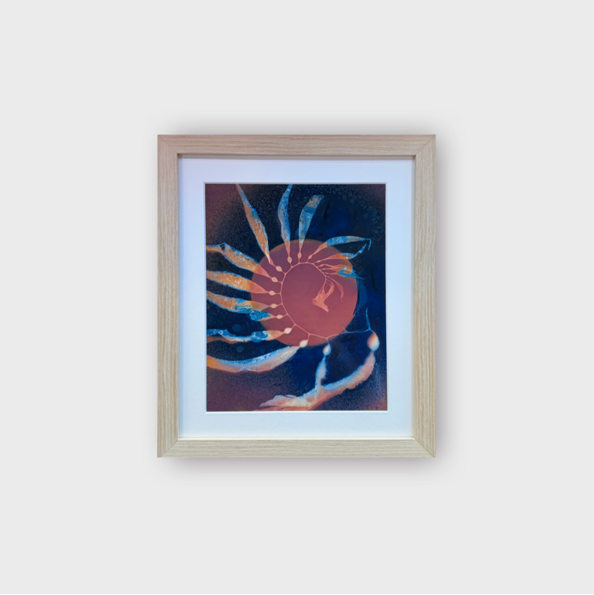 Giant Kelp Study 126