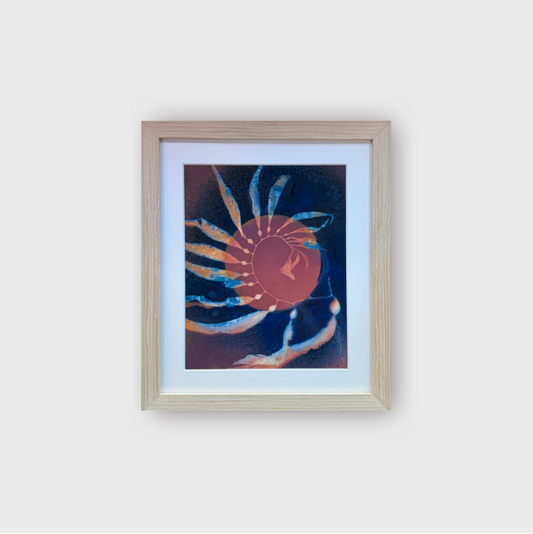 Giant Kelp Study 126