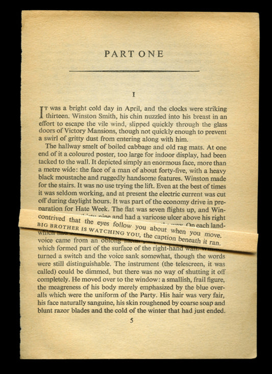 Big Brother, Nineteen eighty-four, George Orwell, 1949