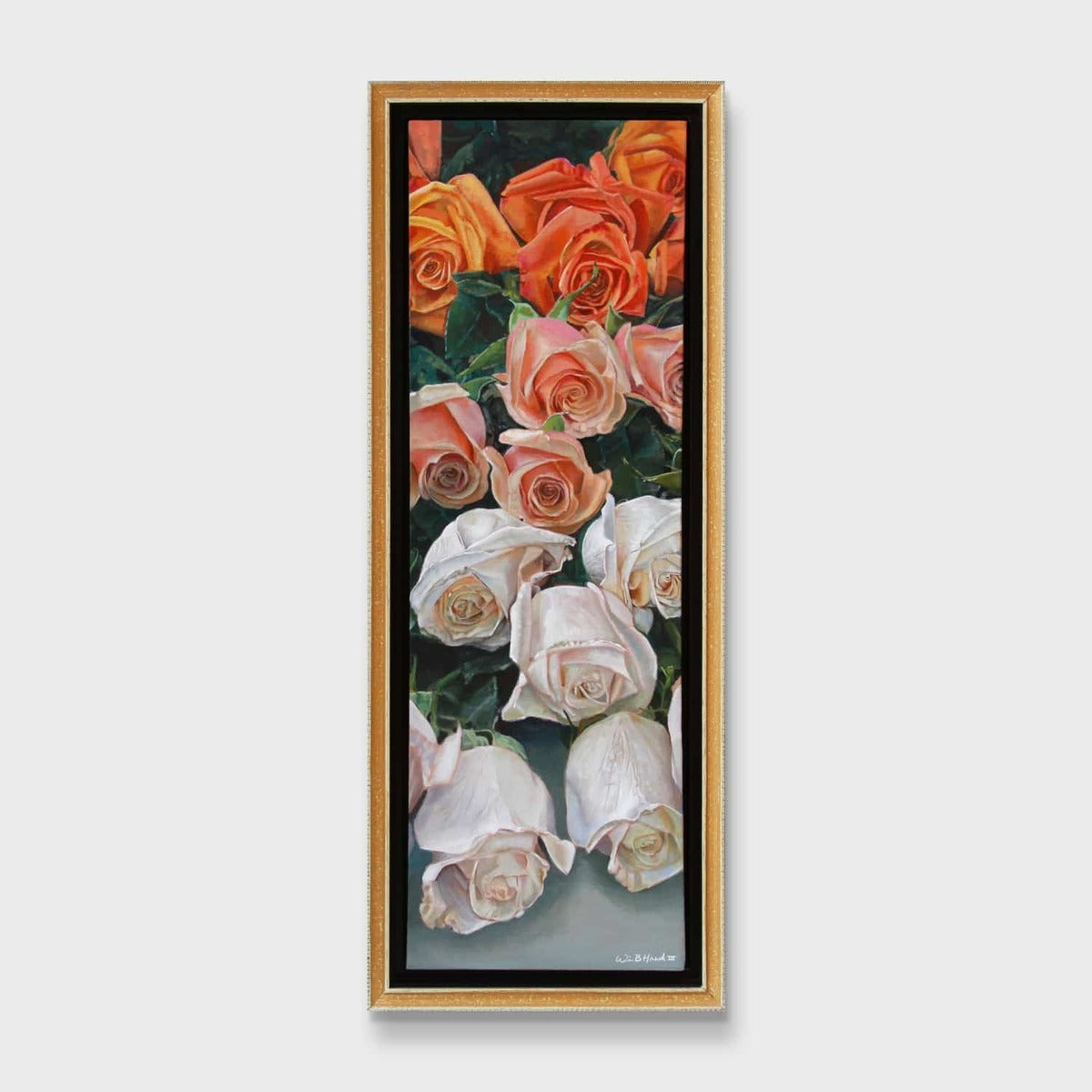 Ombre Rose One