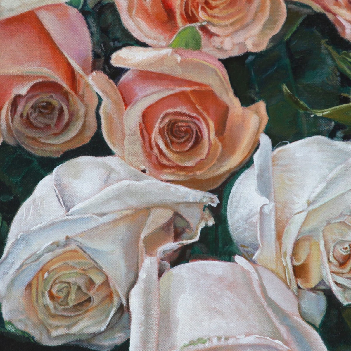 Ombre Rose One