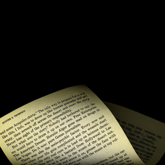 Gonzo, Fear and Loathing In Las Vegas, Hunter S. Thompson, 1971