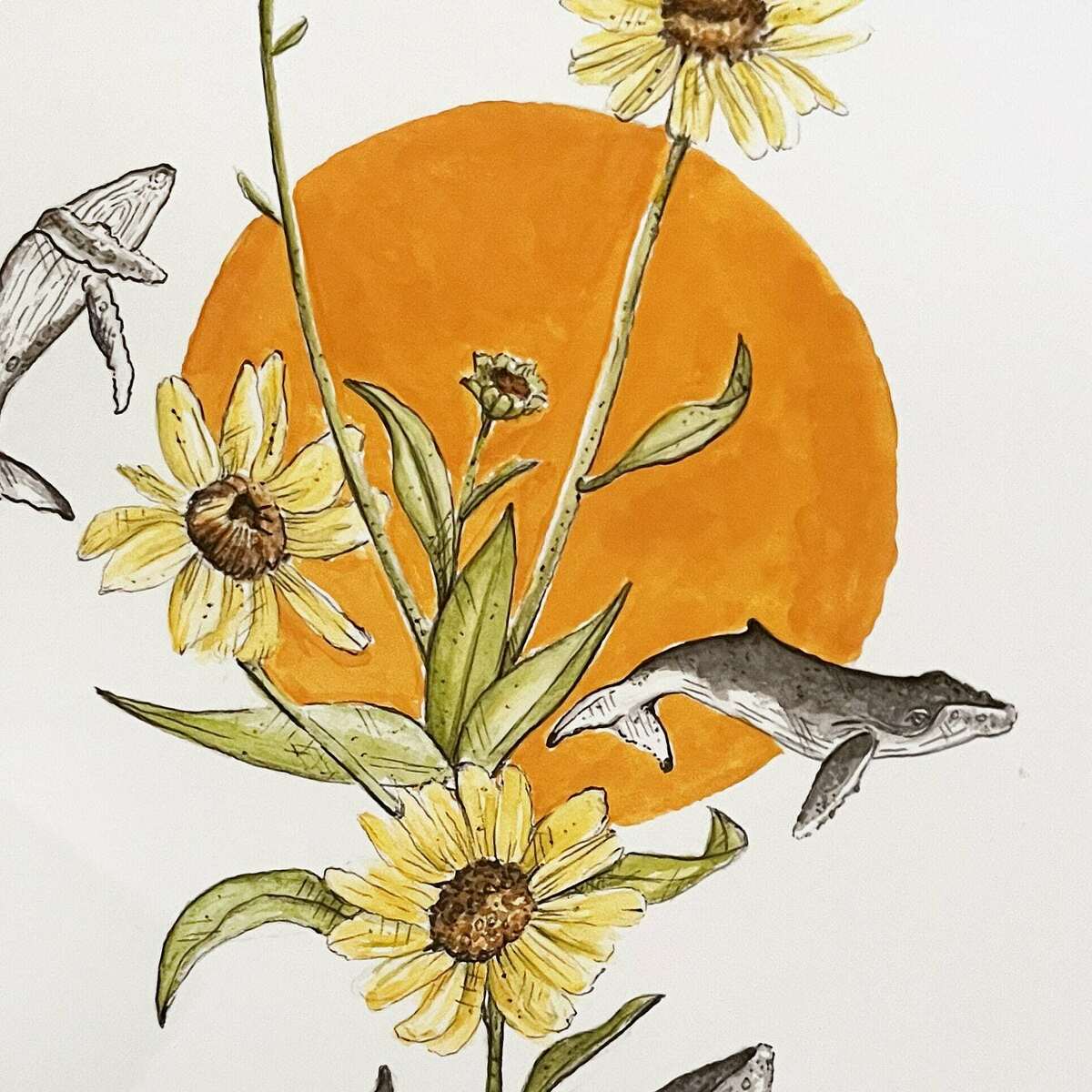 A Coastal Sunflower Dance