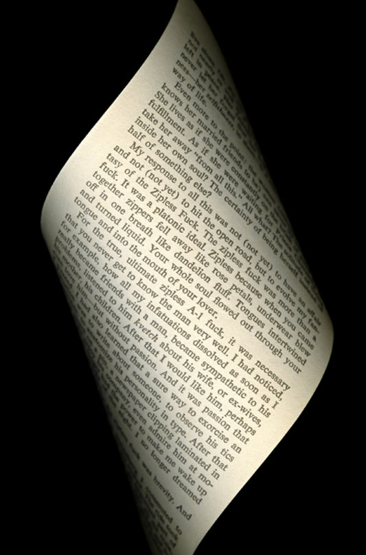 Zipless Fuck, Fear of Flying, Erica Jong , 1973