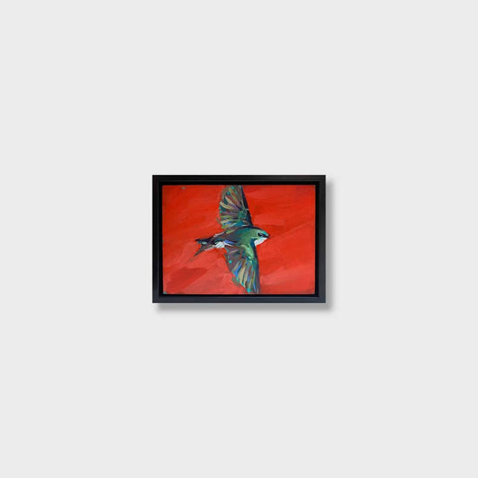 Swallow in Red
