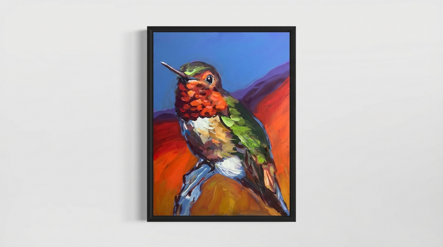 Anna's Hummingbird