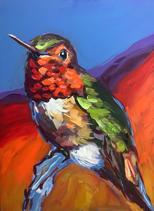 Anna's Hummingbird