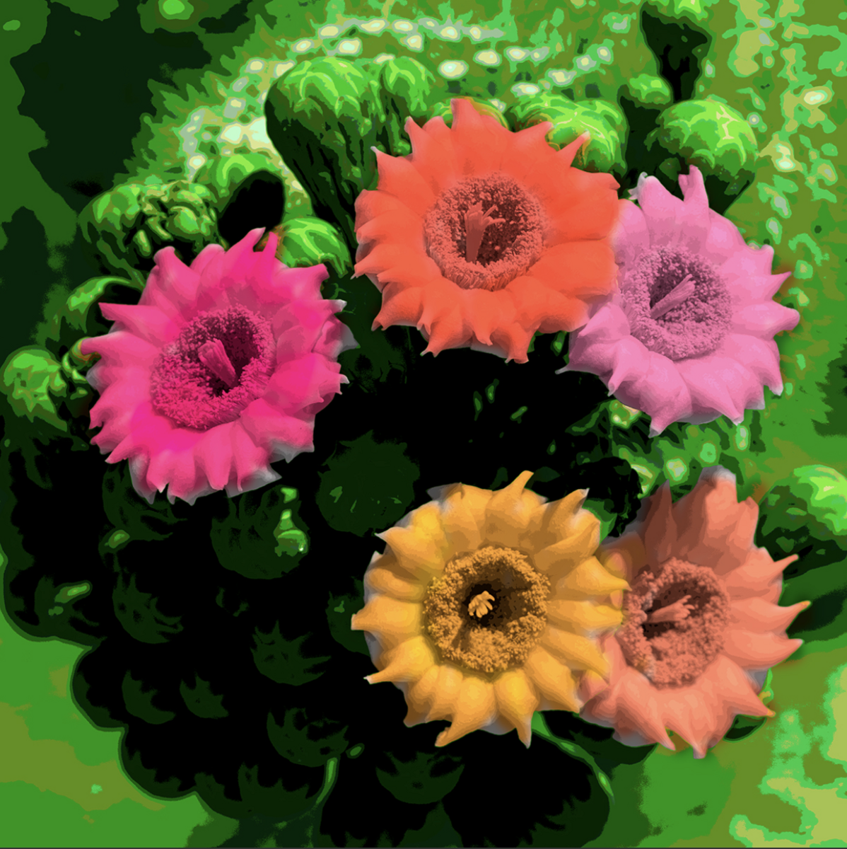 Homage to Warhol, Saguaro Blossoms