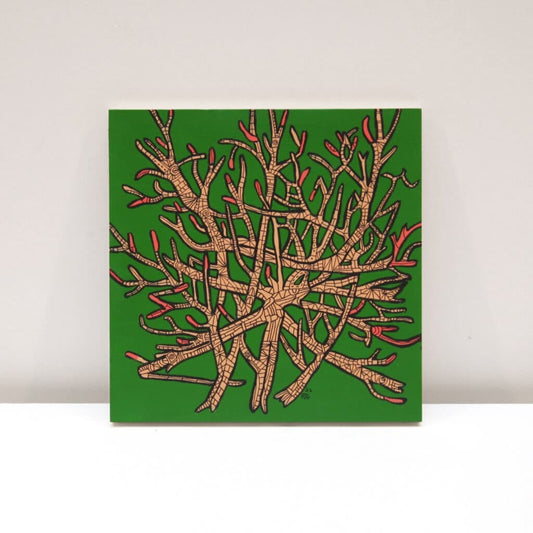 Nordic Woods