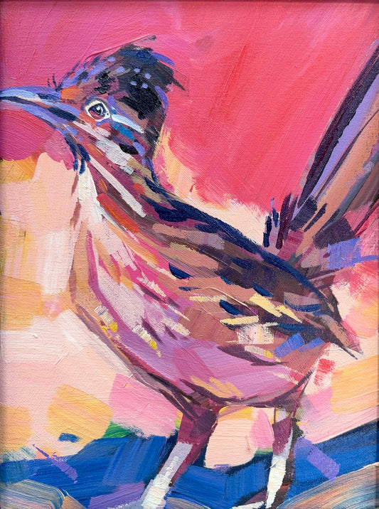 Roadrunner in Pink