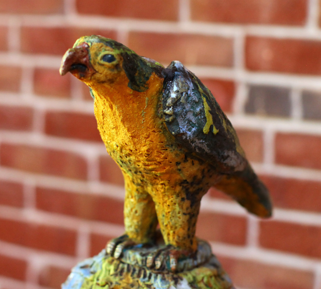 Gawain's Falcon