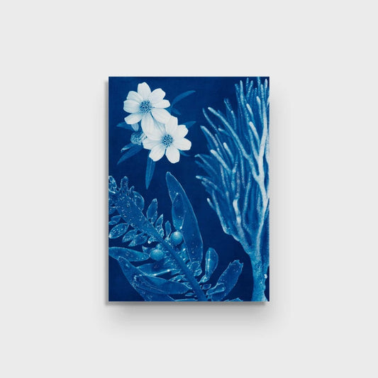 Saltwater Gradient, var 6