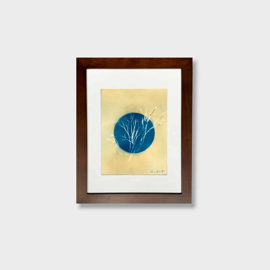 Silva's Rockweed Study 7