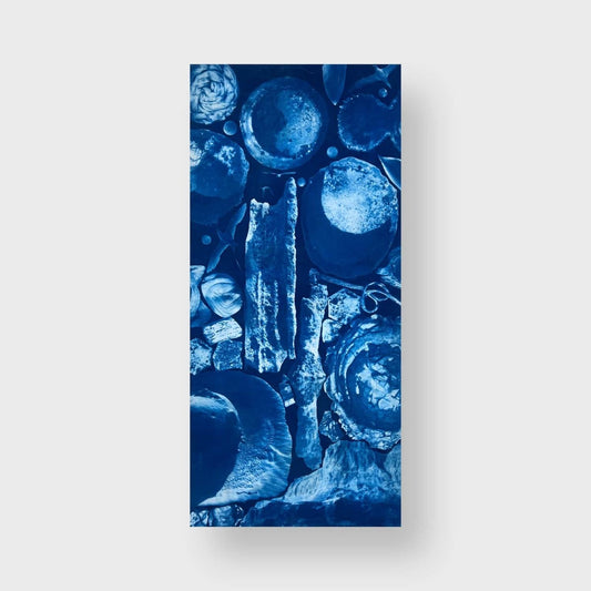 Moons, Birds, Rocks