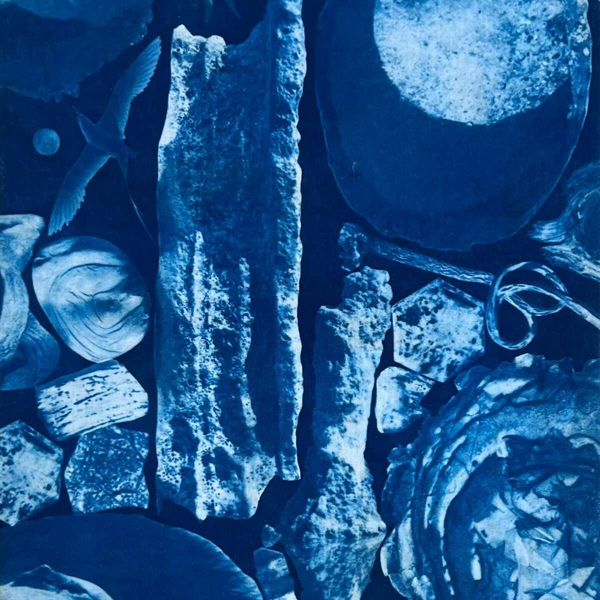 Moons, Birds, Rocks