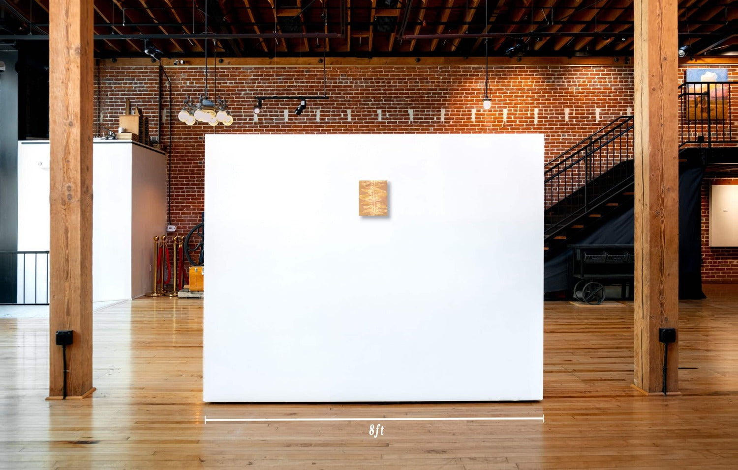 Feather Boa Study 17