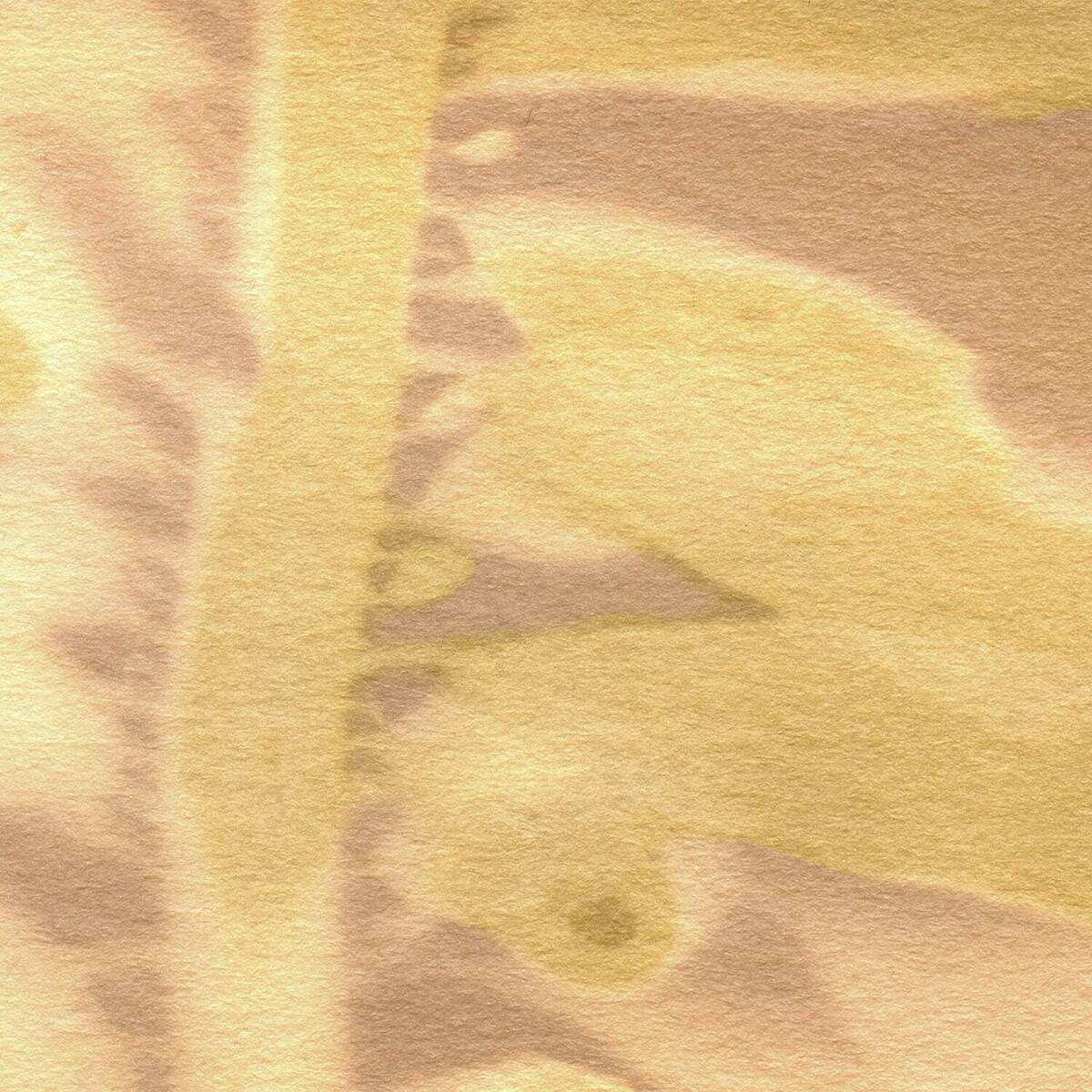 Feather Boa Study 17