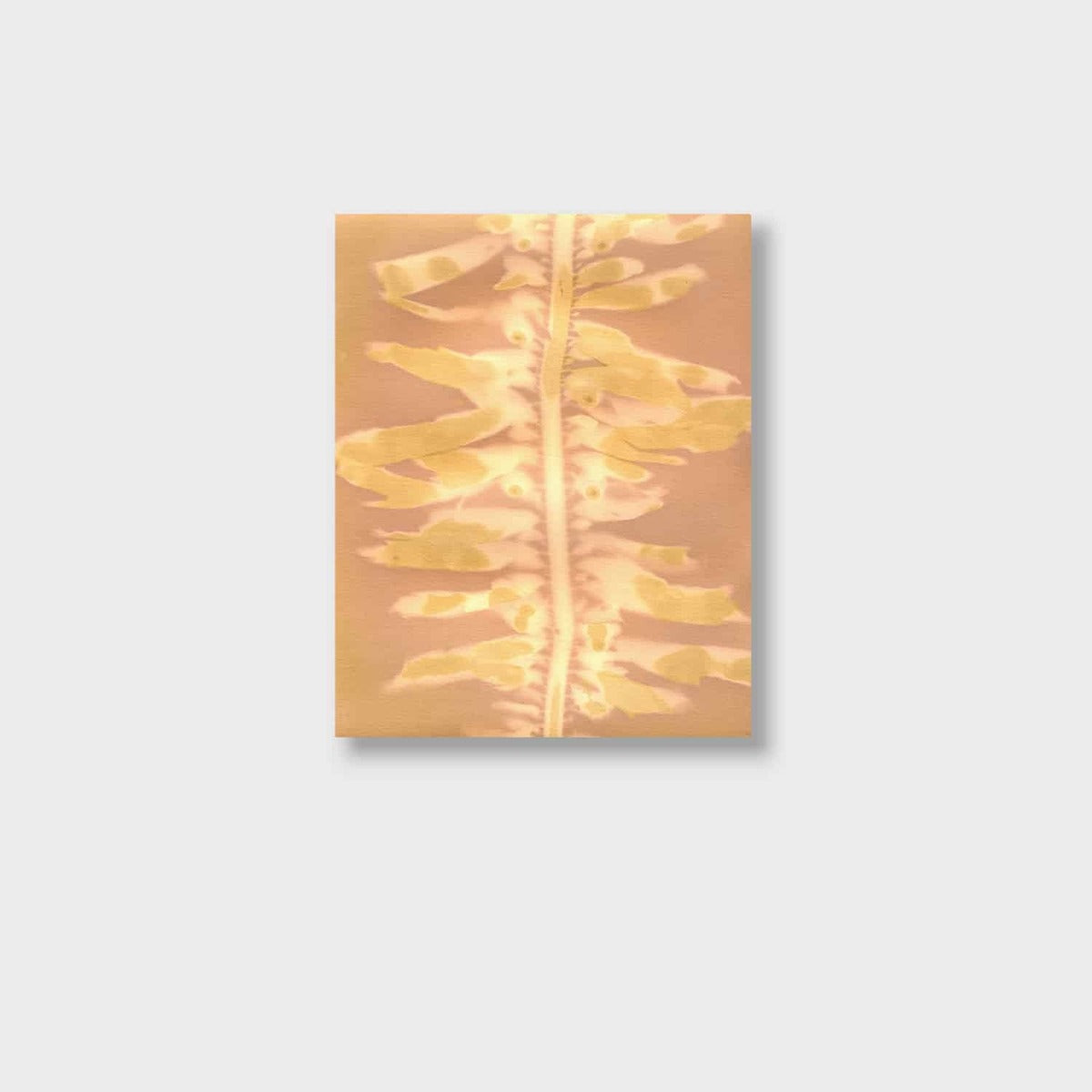Feather Boa Study 17