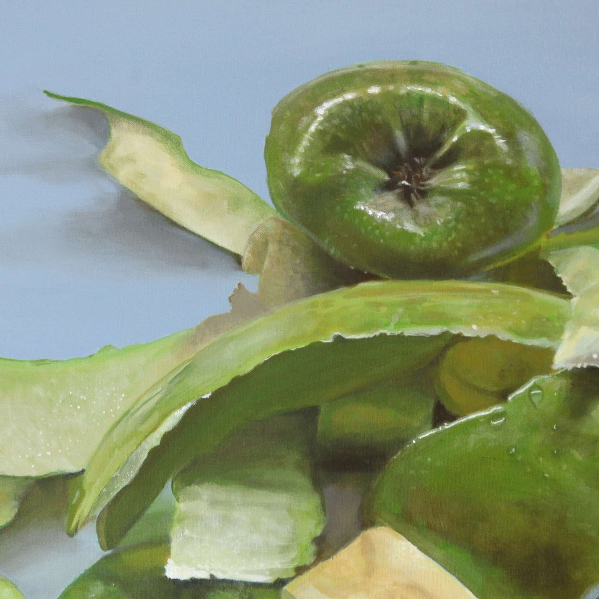 Apple Peels - The Absence is Appealing