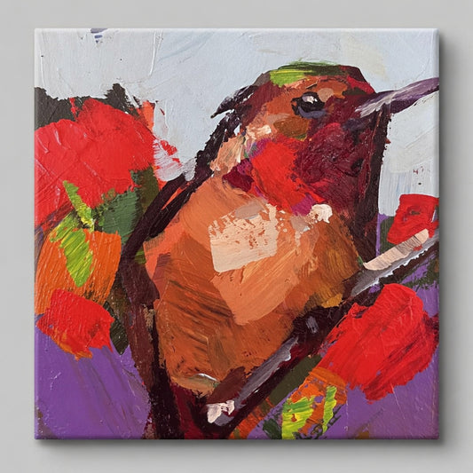 Anna's Hummingbird #2
