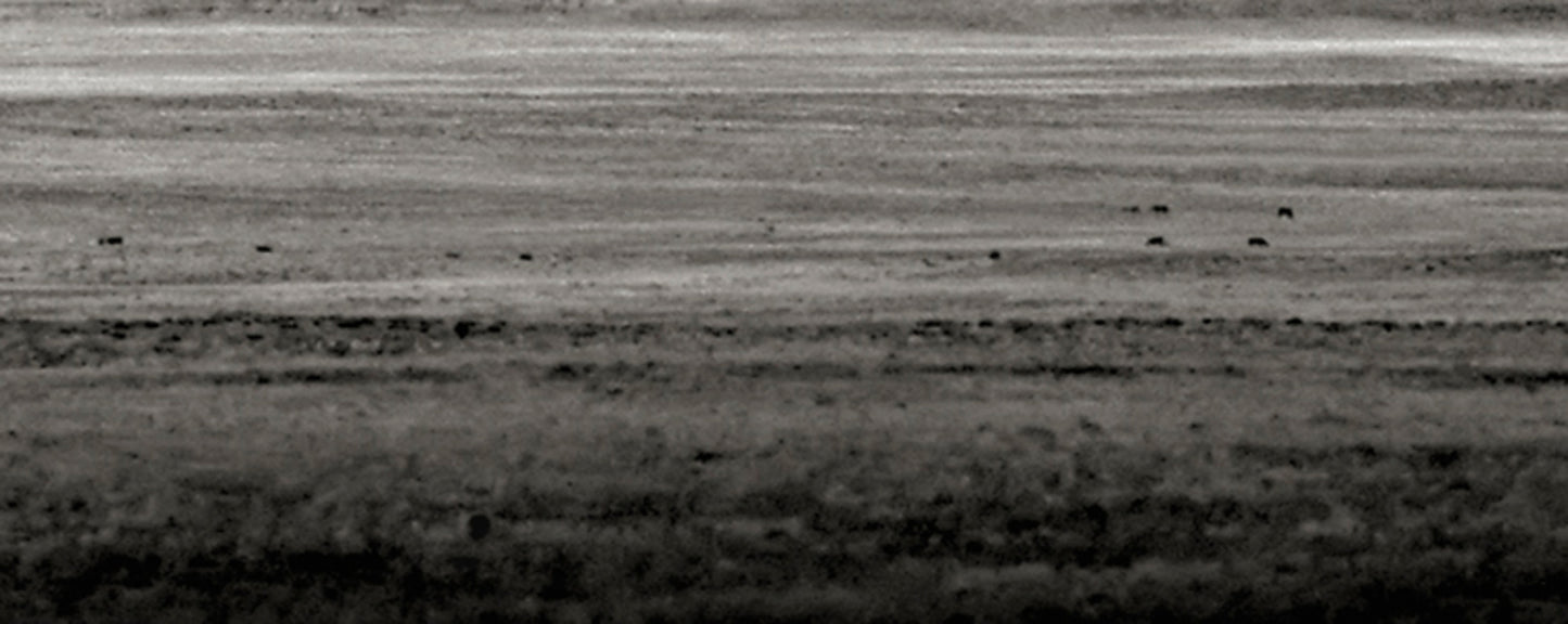 Shiprock, Navajo Nation 2009