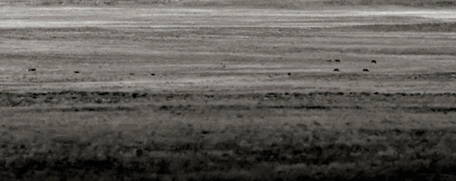 Shiprock, Navajo Nation 2009