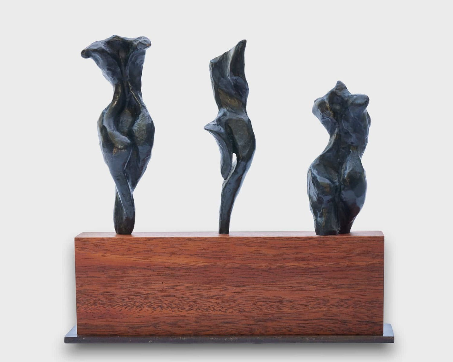 3 Torsos