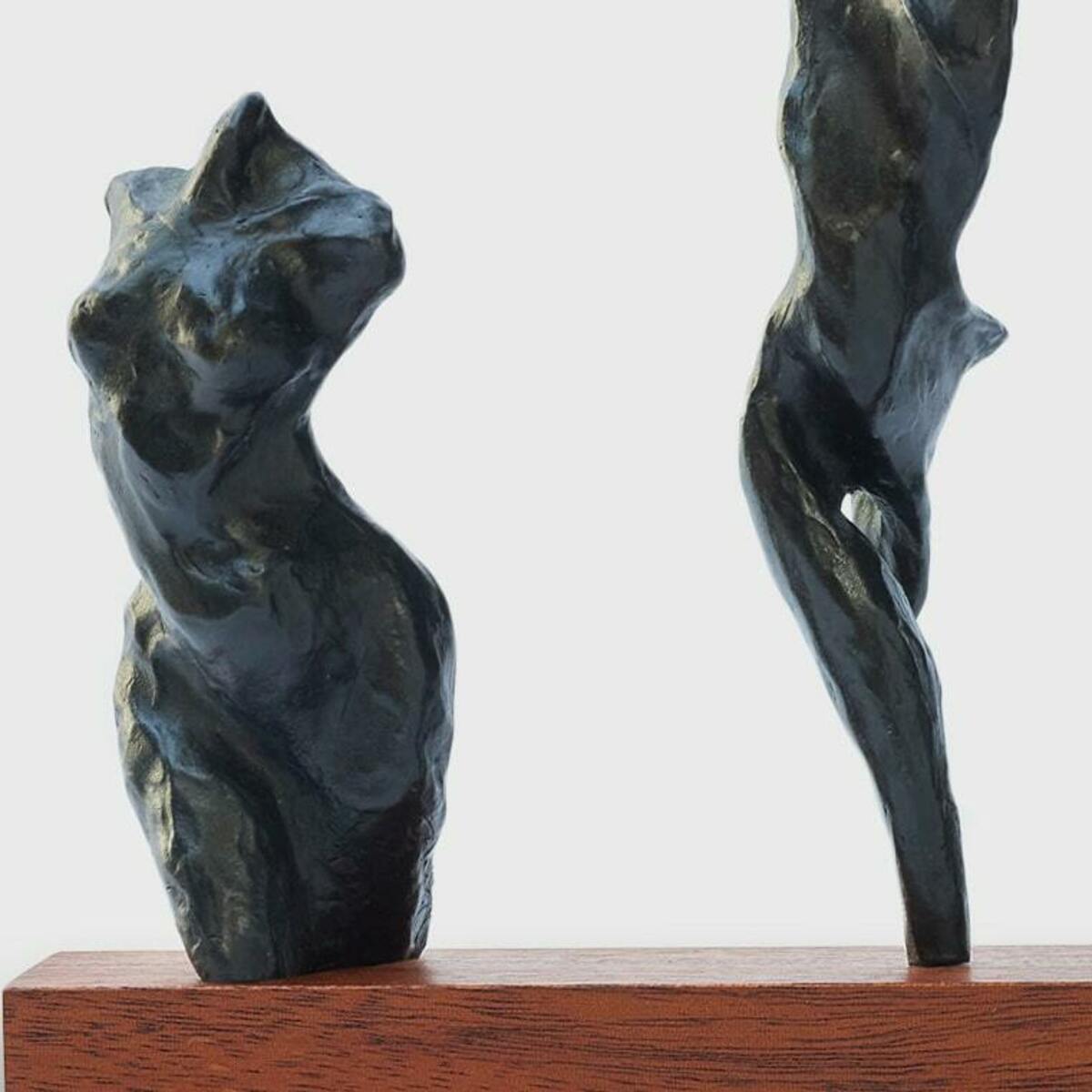 3 Torsos