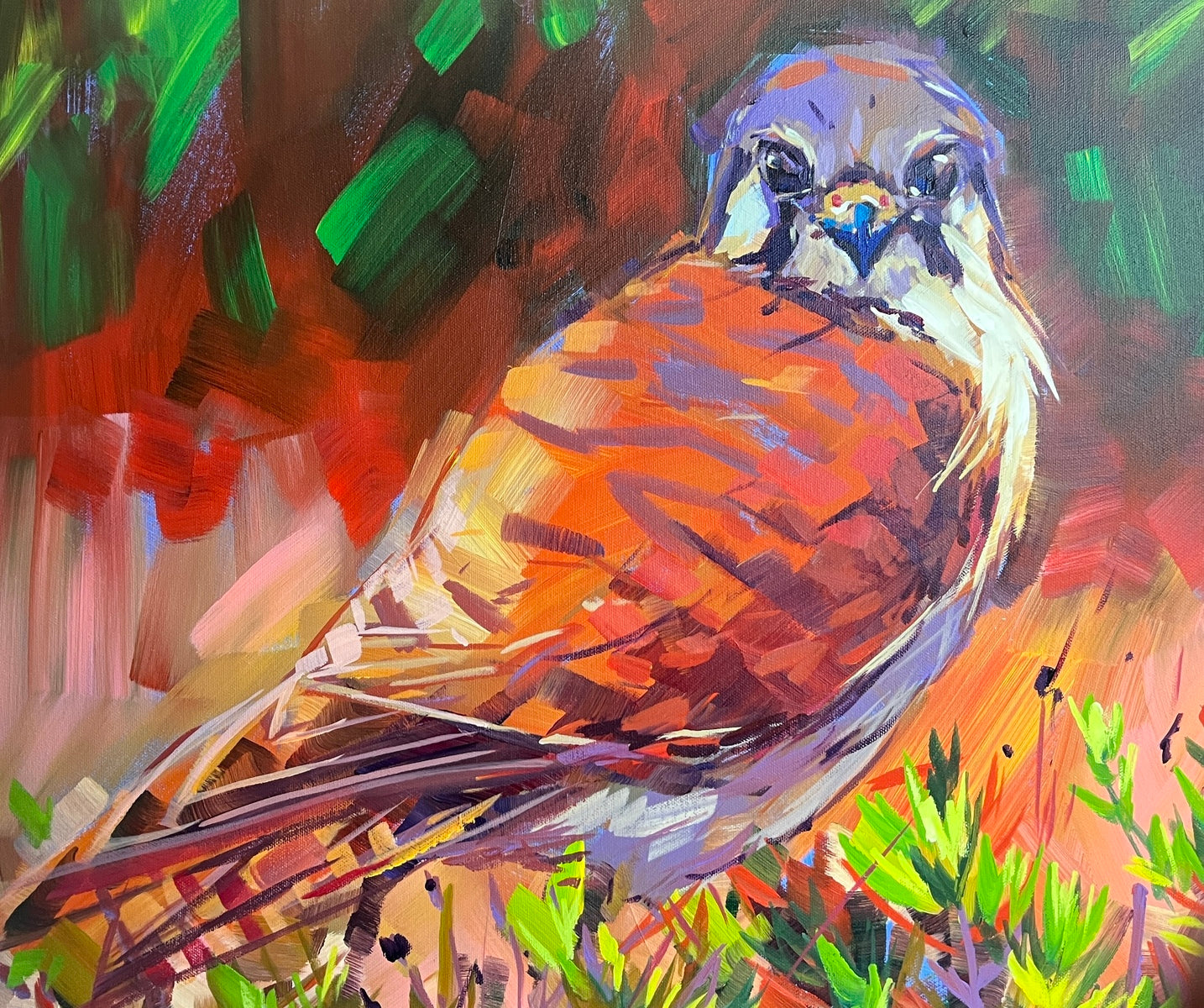 Kestrel