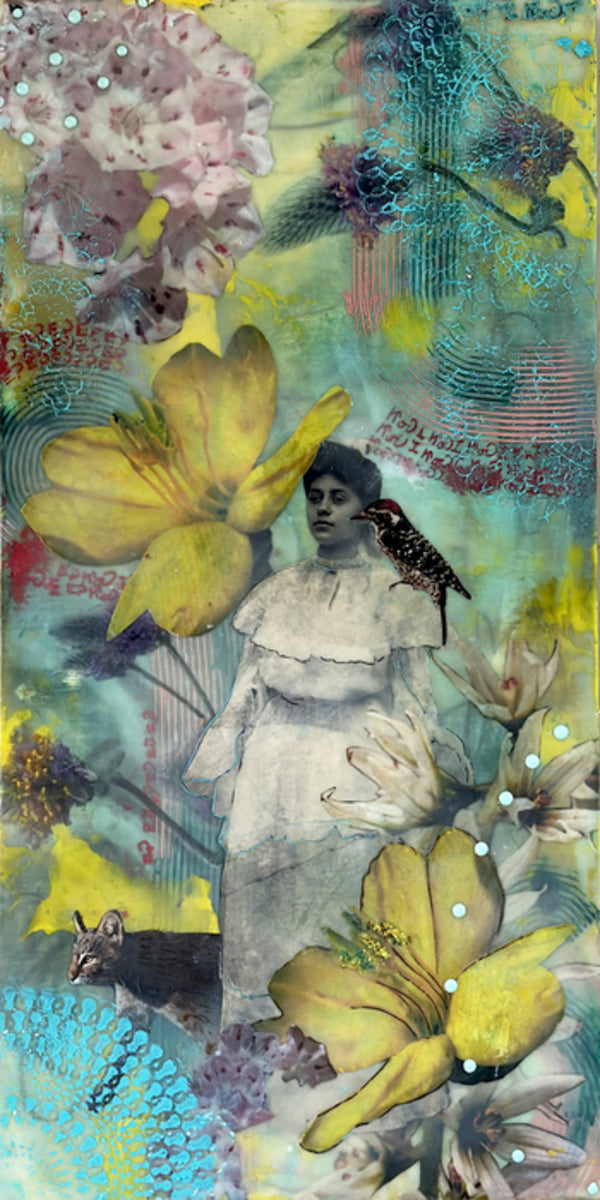 Where Bobcats and Mountain Laurels Dream