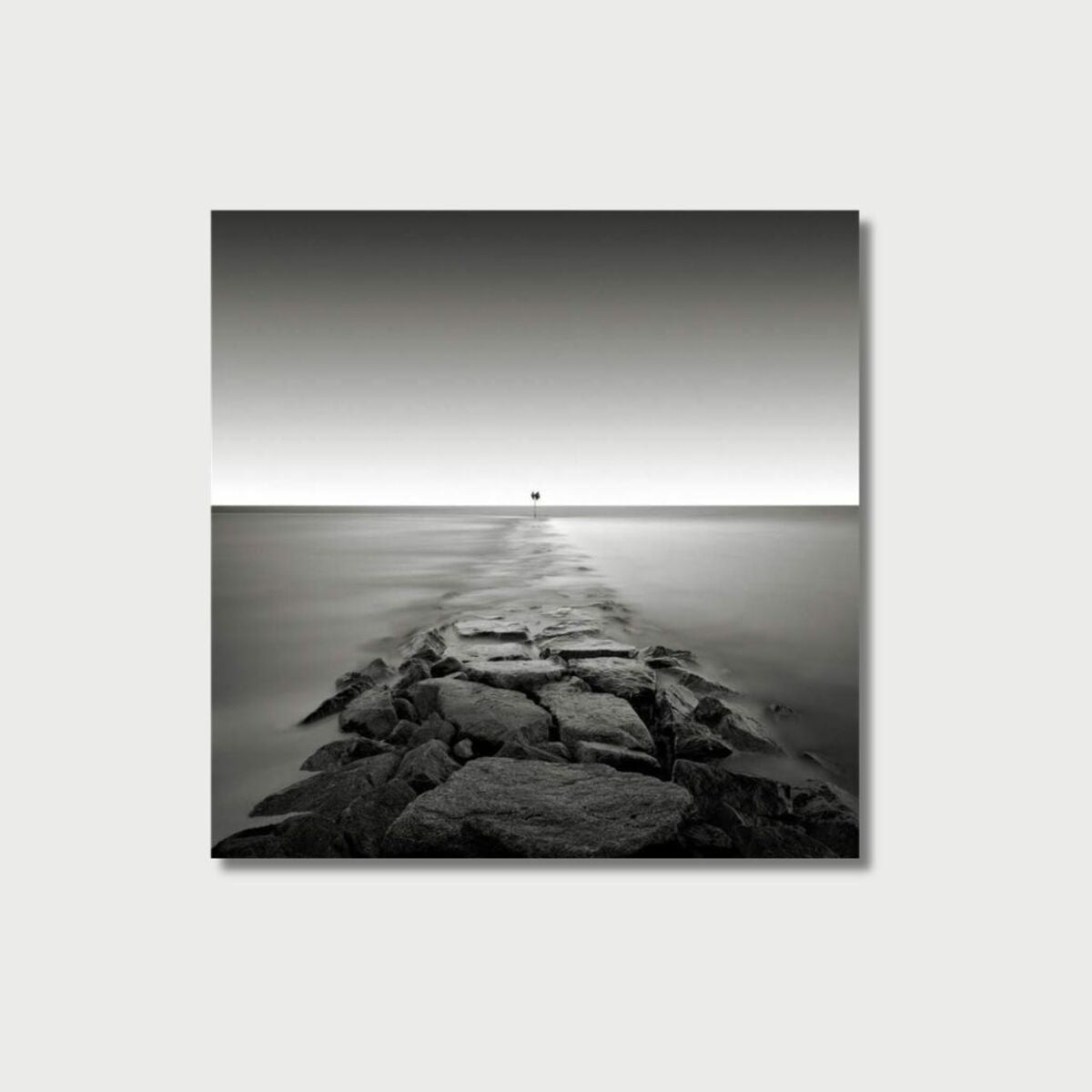 Jetty